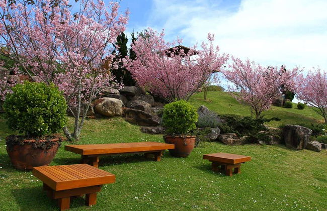 Prana Park Day Trip - Photo 5