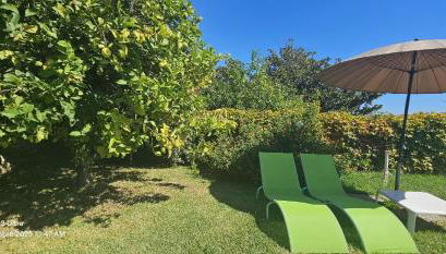 Il Nido Residence - Photo 5, Garden