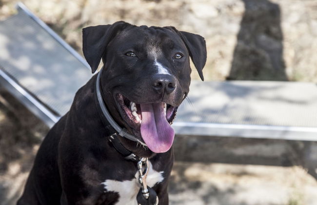 Case Vacanza Podere Risoino - Foto 95