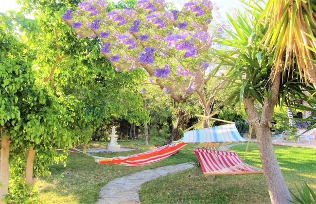 Hacienda Sol - Foto 37