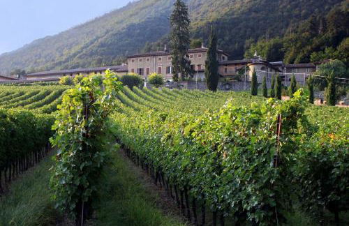 Villa Redona - Photo 15