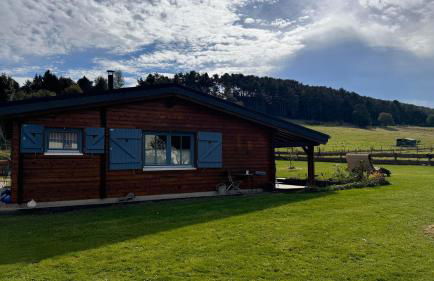 EifelChalet Niederehe - Foto 77