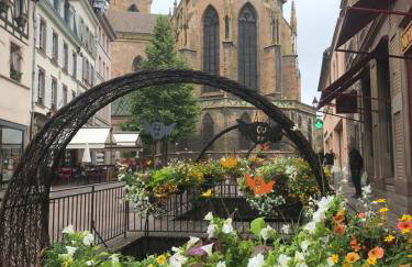 ALSACE Gîte 3étoiles climatisé prox Colmar, Eguisheim, parking, jardin - Foto 32