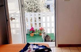 Contrada Vento home sharing - Foto 12