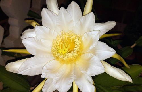 Casa Rural La Vega - Photo 45