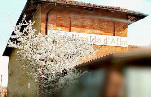 Teresa al Belvedere Rooms&HolidayApartments Camere&Appartamenti - Foto 79