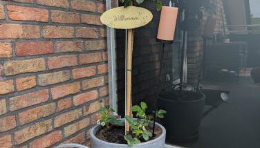 Gästehaus Gast - Foto 2