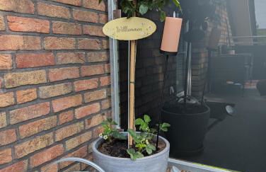 Gästehaus Gast - Foto 2