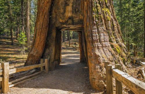 Strawberry Chalet Near Pinecrest & Dodge Ridge - Foto 33