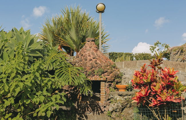 Moinho das Feteiras - Foto 47