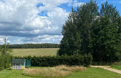 Caloroczny domek letniskowy ze stawem - Foto 17