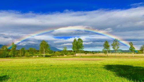 Ferienwohnungen Daserhaus Holiday Apartments - Foto 3