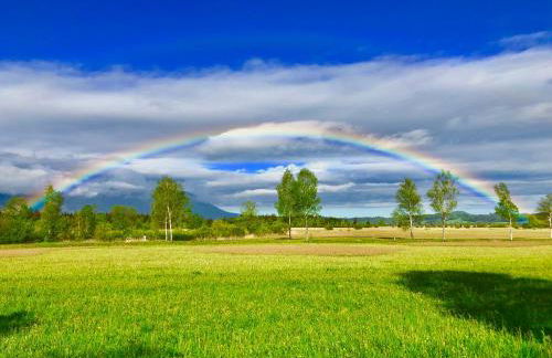 Ferienwohnungen Daserhaus Holiday Apartments - Foto 3