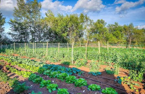 Villa Nevia - Foto 24