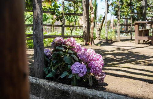 La Sorrentina - Foto 27