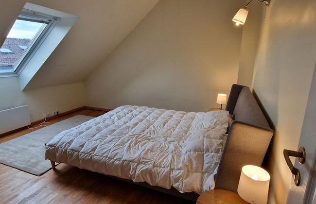 TyzenXL Luxury Vilnius Apartment - Photo 9