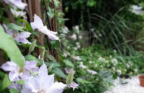 Ferienapartement Stuermer - Foto 29