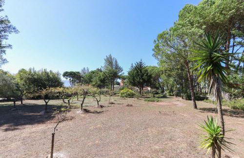 Vita Portucale ! Sintra Retreat Villa with Pool - Foto 53