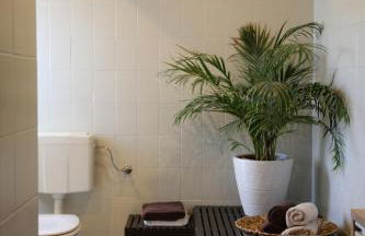 Feriendomizil Willi & Renate - Foto 23