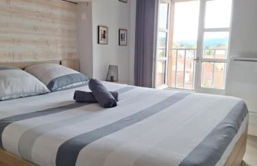 Appartement cosy centre Issoire-Superbe vue Sancy et Livradois-Forez-WiFi - Foto 8