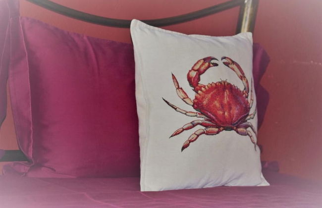 Agriturismo Gocce di Luna - Foto 7