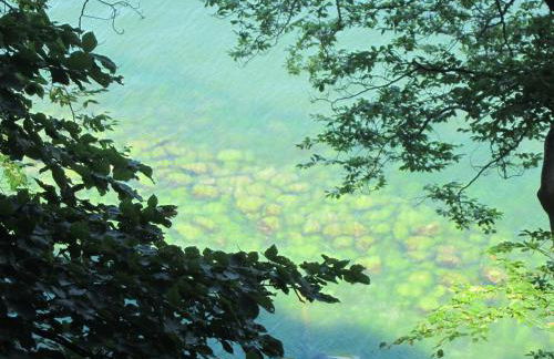 Fewo Rügen Böttger - Foto 24