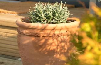 Wild Northumberland Glamping - Foto 20