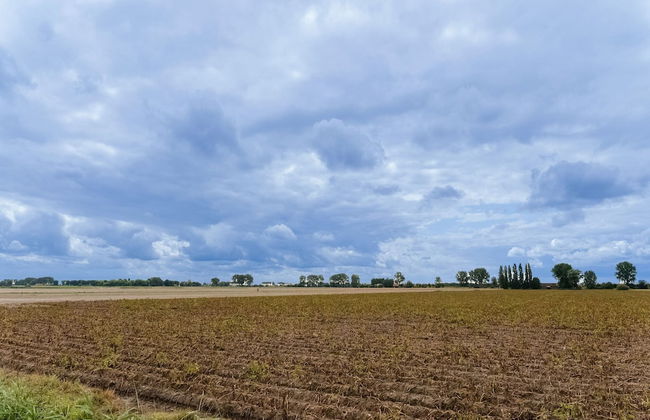 Idyllic Holiday Home in Ooltgensplaat Near Centre - Foto 34