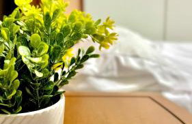 Apto Próximo da Orla, Praia do Morro, Guarapari, Elevador, Garagem Coberta, Wifi, poucos mtrs da areia - Foto 6