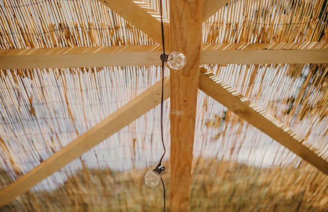 Maso nel bosco - Photo 45