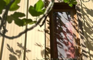 Cabanas de Melides - Foto 50