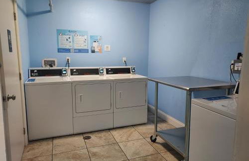 Clearwater Beach Pelican 2 - Foto 5