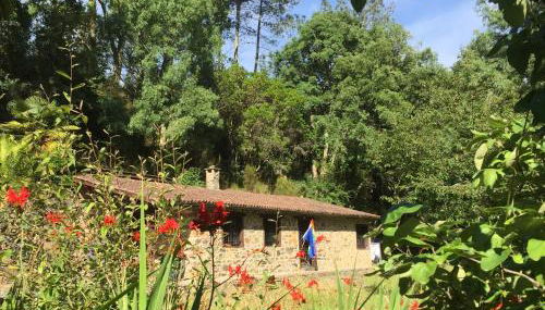 O Muíño da Balsiña - Foto 3, Garden