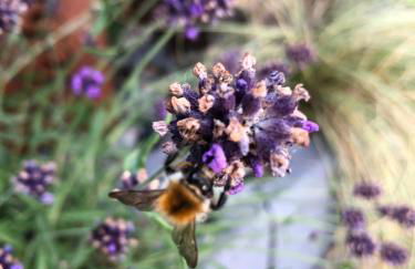 Ferienwohnung Die Alte Schule - Foto 44