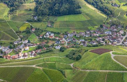 Ferienwohnung Epting - Foto 9