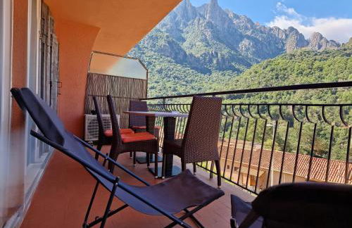 T2 vue mer & montagne Golfe de Porto-Ota - Foto 5