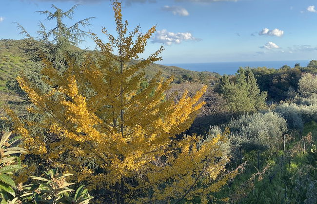 Agriturismo Etna-Mare - Photo 45