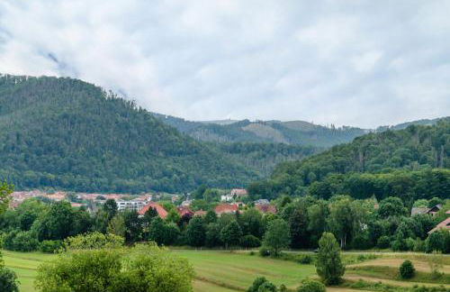 Haus am Rand des Harz - Foto 35