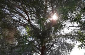 Kokopelli's Hideaway - Foto 8