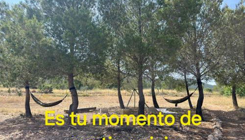 Casa la Serrana - Foto 3