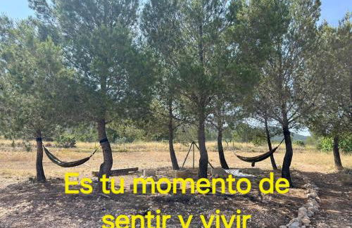 Casa la Serrana - Foto 3