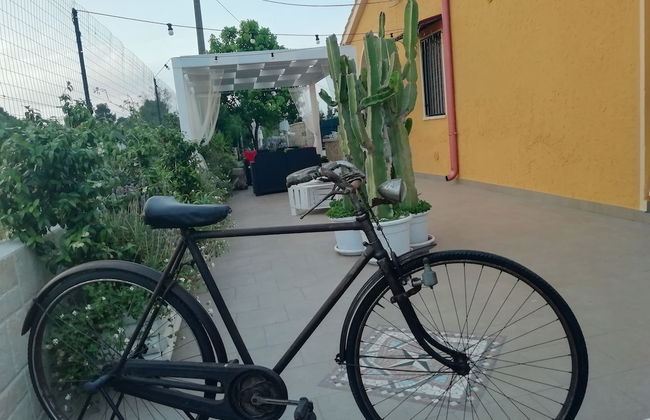 Villetta Dote - Photo 59