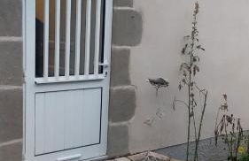 STUDIO Saint-Genest- Lerpt proche gorges de la LOIRE - Foto 4