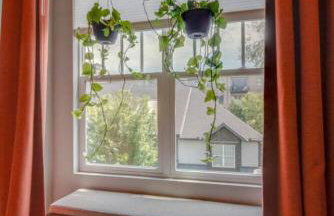 Bold Boho Beauty Three Bedroom Three and a Half Bath - Foto 33