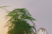 Loft Marea Bermeo - Foto 34