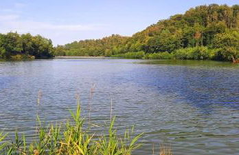 Zum Winzer - Foto 28