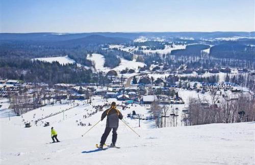 Shanty Creek Resort Bellaire Michigan - Foto 12