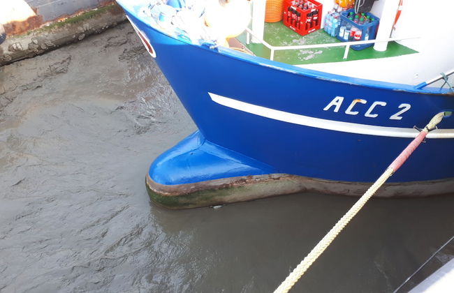 Apartments Fröhling - Foto 50