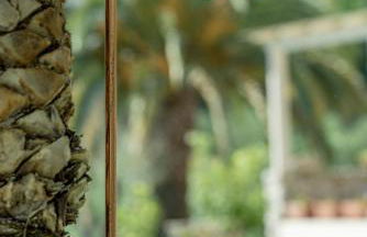 Villa Elle Exclusive Isola d'Elba - Foto 28