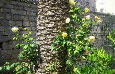 Apartment Antonia - Foto 30